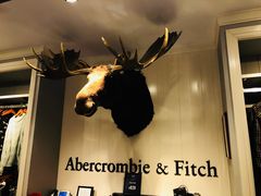 -Abercrombie & Fitch(天环广场店)