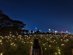 -深圳湾公园(南山区)