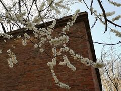 -大连理工大学(凌水校区)