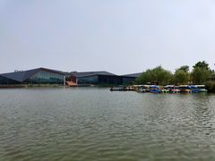 -上海长兴岛郊野公园