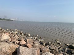 -深圳湾公园(南山区)