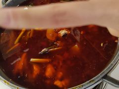 -重庆乌鱼庄·龙滋鲜(青羊大道店)