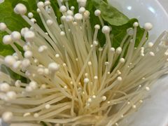 -傣妹火锅(四川北路店)