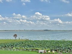 -七的湖·晚芳亭·阳澄湖农家菜·大闸蟹(莲花岛店)