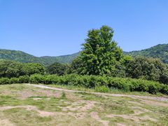 -龙寺生态园