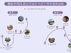-嘉定紫藤园