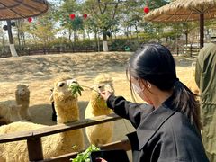 -盈香心动乐园