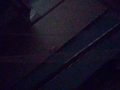 -陶虹海鲜餐厅(禅城石湾店)