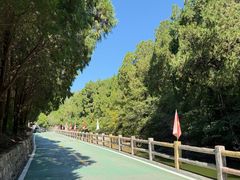 -四门塔风景区