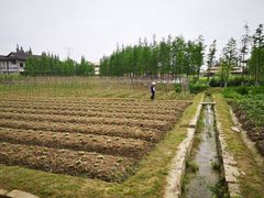 -乌村