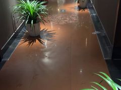 -金狮麟·新豫菜(杏石口路店)
