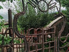 -呀路古热带植物园
