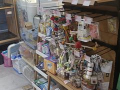 -FAELING PETS美天灵宠物(富力广场店)