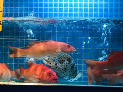 -湘湖大院(越王路店)