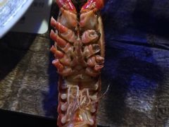 -夜猫子串吧·龙虾.江西小炒(万塘路店)