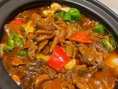 -春茗熙
