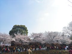 -堤角公园