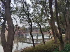 -同里国家湿地公园