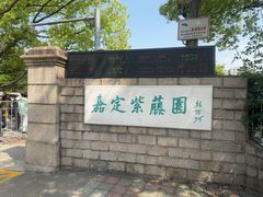 -嘉定紫藤园