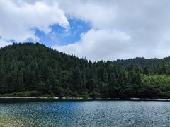 -武陵山森林公园