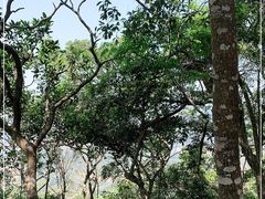 -梧桐山风景名胜区