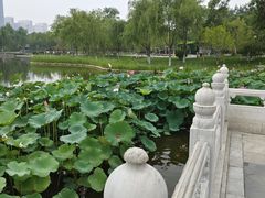 -西海子公园