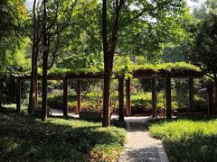 -徐家汇源景区-衡山公园