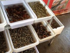 iphone_upload_pic-南戴河海滨市场