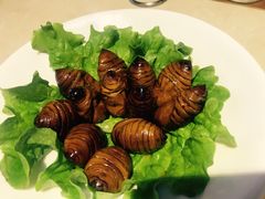 -老佛爷炭火蛙锅直营(清滨路总店)
