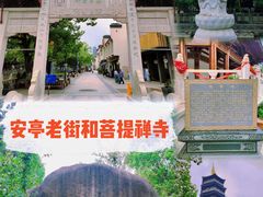 -安亭老街