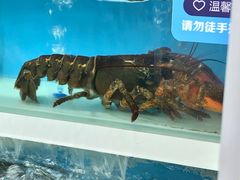 -盒马鲜生(大成店)