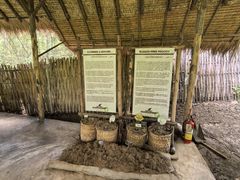 -大象粑粑造纸公园