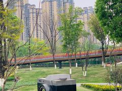 -府河摄影公园