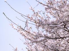-堤角公园