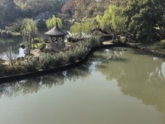 -无锡蠡湖国家湿地公园-蠡园