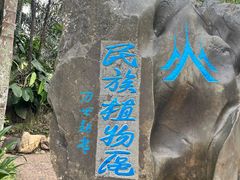 -中国科学院西双版纳热带植物园