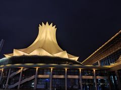 -南宁国际会展中心(会展东博文化旅游区)