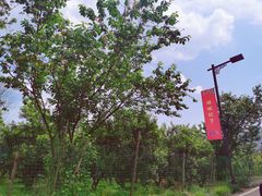 -樱桃山旅游景区