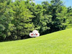 -棒棰岛宾馆景区