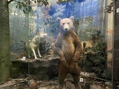 -国家自然博物馆