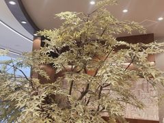 -君之狮子山·轻糖烘焙(松江印象城店)