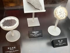 -河姆渡遗址博物馆