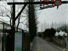 -前小桔亲子创意农场·草莓采摘·露营烧烤