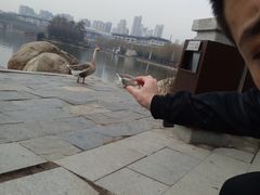 -西安曲江寒窑遗址公园