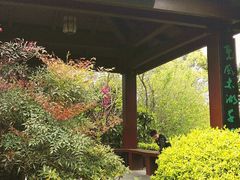 -桃花岛景观公园