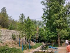 -白水寺森林公园