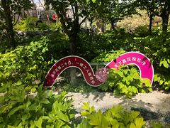 -太阳宫公园