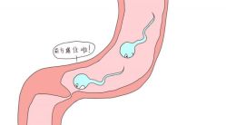 -邢台妇产医院