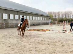 -月河湾马术俱乐部(朝阳店)