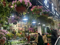 -溪岸路花鸟市场